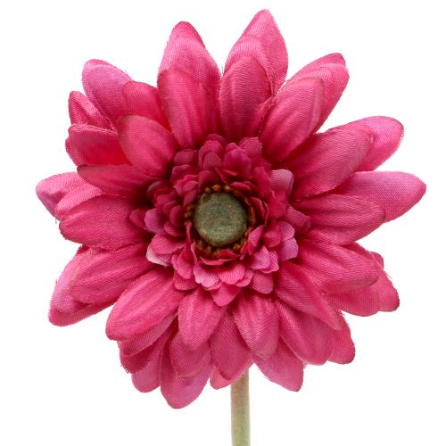 Floristik24 Gerbera Rožinė 48cm 12vnt
