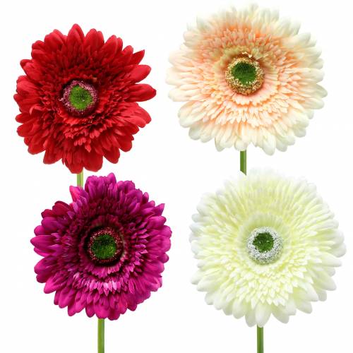 daiktų Dirbtinė gerbera Ø10cm L62cm Įvairių spalvų