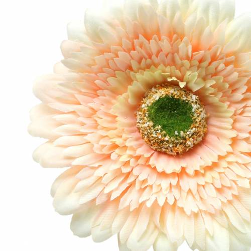 Floristik24 Dirbtinis gerberos persikas 62cm 6vnt