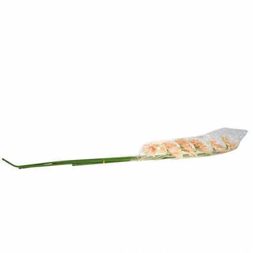 Floristik24 Dirbtinis gerberos persikas 62cm 6vnt