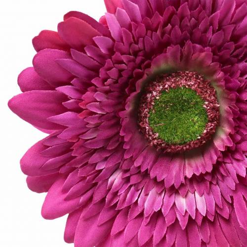Floristik24 Gerbera dirbtinė violetinė 62cm 6vnt