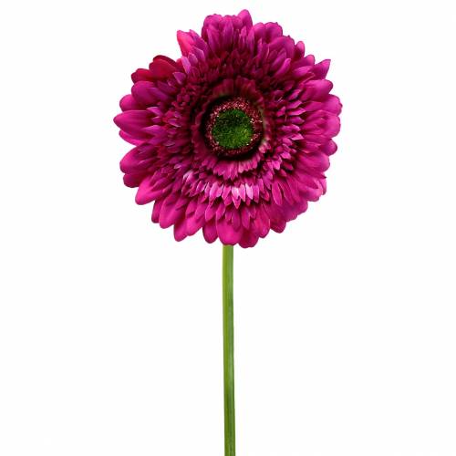 Floristik24 Gerbera dirbtinė violetinė 62cm 6vnt