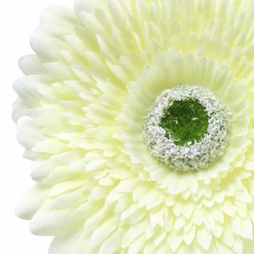 daiktų Gerbera dirbtinė balta 62cm 6 vnt