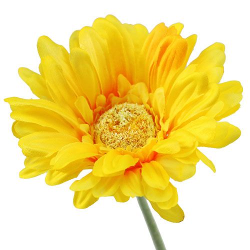 Floristik24 Gerbera dirbtinė geltona Ø10cm L55cm 6vnt