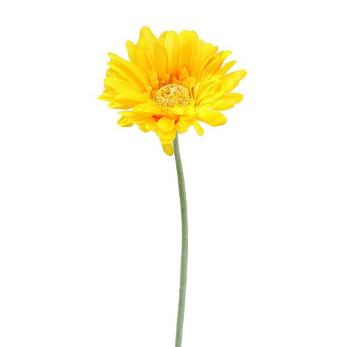 Floristik24 Gerbera dirbtinė geltona Ø10cm L55cm 6vnt