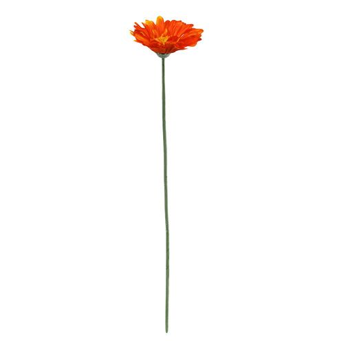 Floristik24 Gerbera Orange Ø10cm L55cm 6vnt