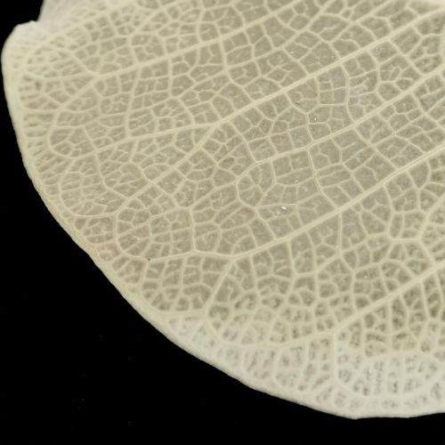 daiktų Džiovintų lapų dekoravimas Moneta sausas floristinis kremas 100g