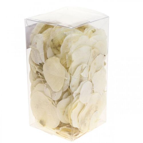 daiktų Džiovintų lapų dekoravimas Moneta sausas floristinis kremas 100g