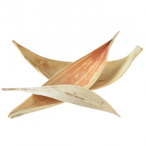 daiktų Kokoso kevalai, balinti kokoso lapai, 22-42cm, 25 vnt.