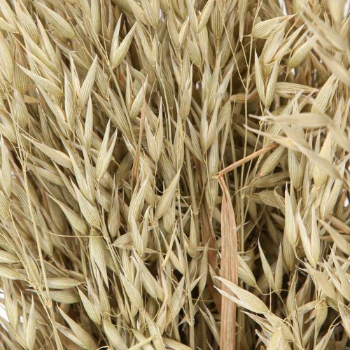 daiktų Džiovintų avižų dekoratyvinė avižų kekė natūrali dekoracinė kekė 60cm 200g