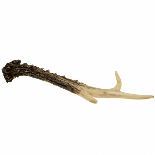 Floristik24 Deco antler kaimo namų dekoravimo stalo apdaila 23cm 2vnt