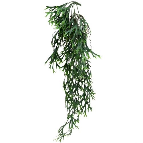 Floristik24 Raginio paparčio krūmas kabantis 84cm