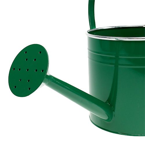 Floristik24 Dekoratyvinė laistytinė tamsiai žalia Ø20cm H18cm