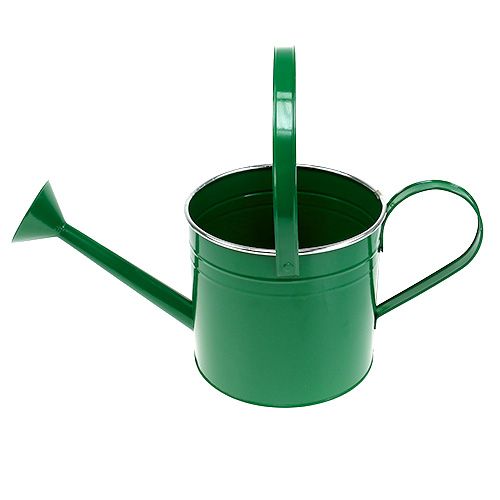 Floristik24 Dekoratyvinė laistytinė tamsiai žalia Ø20cm H18cm