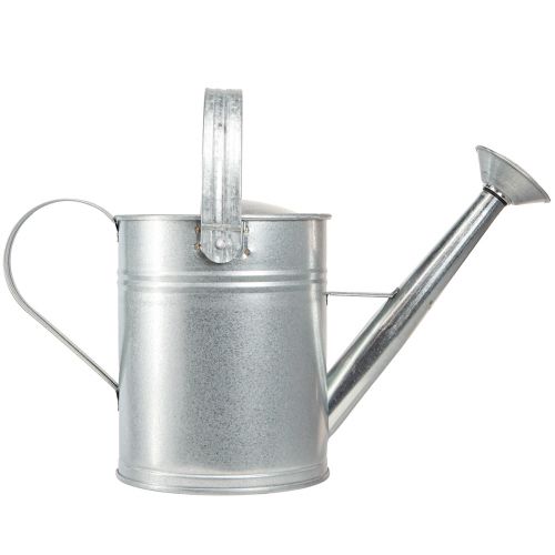 daiktų Dekoratyvinė laistytinė retro dizaino metalinė sidabrinė 42x15,5x27cm