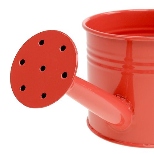 Floristik24 Laistytuvas Orange Mix Ø11cm H9cm 8vnt