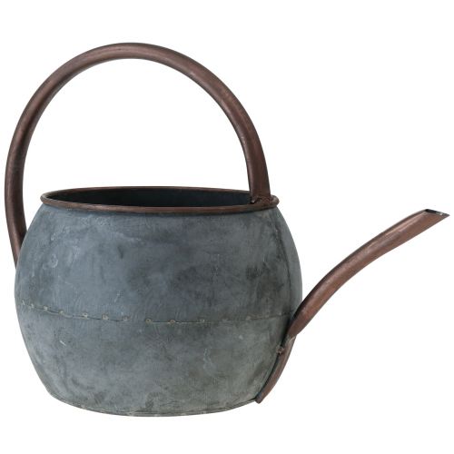 Floristik24 Dekoratyvinė laistytuvas sodinimui, sodinimo skardinė 29,5cm H22cm