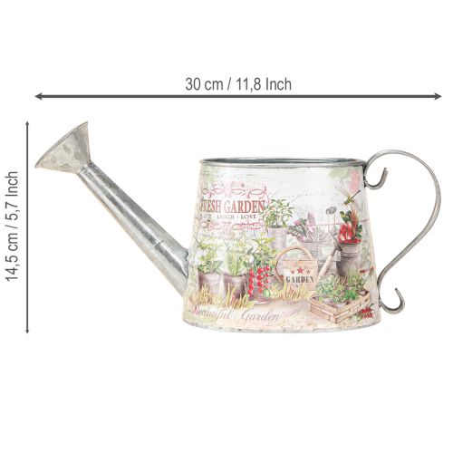 daiktų Laistytuvo apdaila sidabro metalo Fresh Garden 30x11x14,5cm