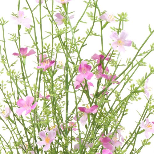 Floristik24 Alyvinis krūmas 60cm
