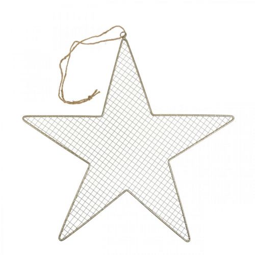 Floristik24 Metalinė žvaigždės tinklelio dekoracija žvaigždės metalo puošmena auksinė Ø47cm