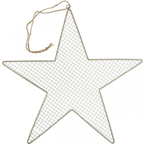 Metal Star Mesh Deco Star Metal Deco Gold Ø57cm