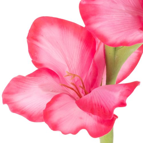 Dirbtinė kardelė su dekoratyvinėmis gėlėmis, 88 cm | Floristik24.lt
