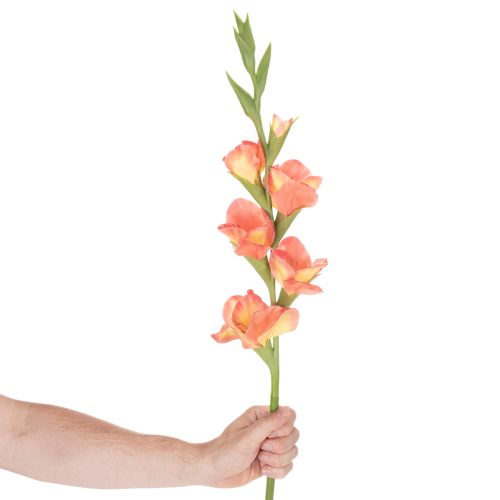 Dirbtinis kardelis su daugybe žiedų puokštei, 88 cm | Floristik24.lt