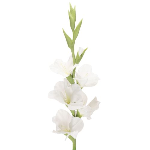 Dirbtinis kardelis, ilgakotis, vazoms, 88 cm pirkti | Floristik24.lt