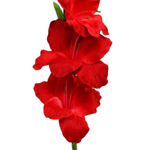 Floristik24 Kardeliai raudoni dirbtiniai 86cm