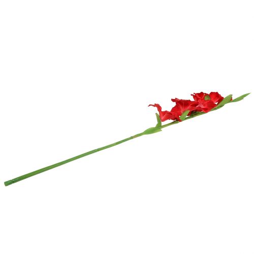 Floristik24 Kardeliai raudoni dirbtiniai 86cm