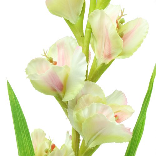 Floristik24 Kardeliai balti 93cm