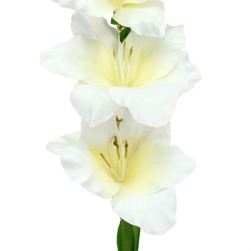 Floristik24 Kardeliai balti 86cm dirbtiniai