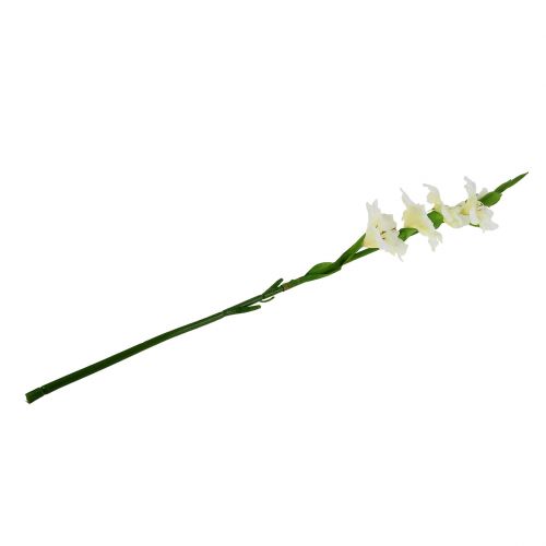 Floristik24 Kardeliai balti 86cm dirbtiniai