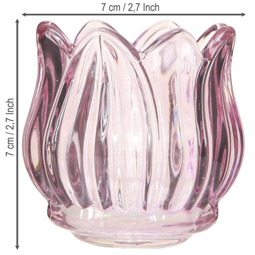 daiktų Stiklinės arbatinės žvakidės laikiklis stiklinė tulpė violetinė Ø7cm H7cm 2vnt