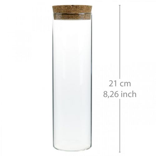 Floristik24 Stiklas su kamštiniu dangteliu Stiklo cilindras su kamščiu Skaidrus Ø6cm H21cm