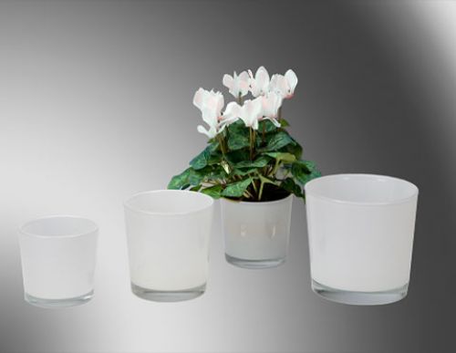 Floristik24 Balto stiklo kibiras