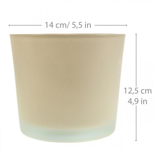 daiktų Stiklinis gėlių vazonas smėlio spalvos vazonas stiklinis vazonas Ø14,5cm H12,5cm