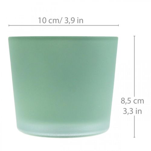 Floristik24 Stiklinis gėlių vazonas žalias vazonas stiklinis kubilas Ø10cm H8,5cm