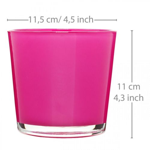 Floristik24 Stiklinis kubilas, sėjamoji rožinė Ø11,5cm H11cm