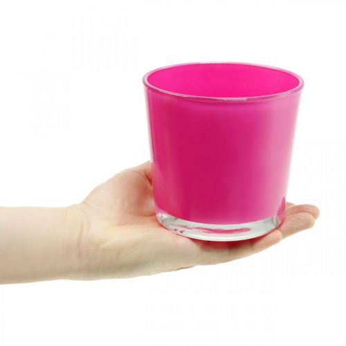 Floristik24 Stiklinis kubilas, sėjamoji rožinė Ø11,5cm H11cm