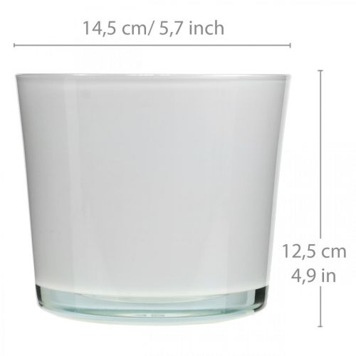 daiktų Stiklinis gėlių vazonas baltas vazonas stiklinis kubilas Ø14,5cm H12,5cm
