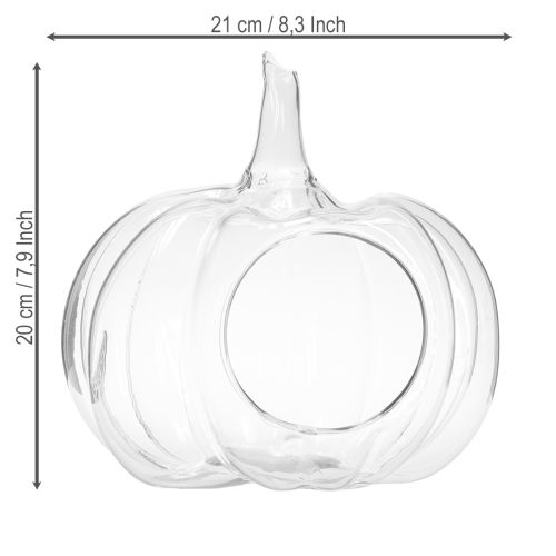 daiktų Stiklinis moliūgas su anga, rudens dekoracijos moliūgas, skaidrus, Ø21 cm, aukštis20 cm