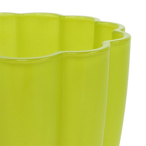 Floristik24 Stiklinė vaza "Bloom" liepa Ø14cm H17cm