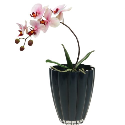 Floristik24 Stiklinė vaza &quot;Bloom&quot; tamsiai mėlyna Ø14cm H17cm
