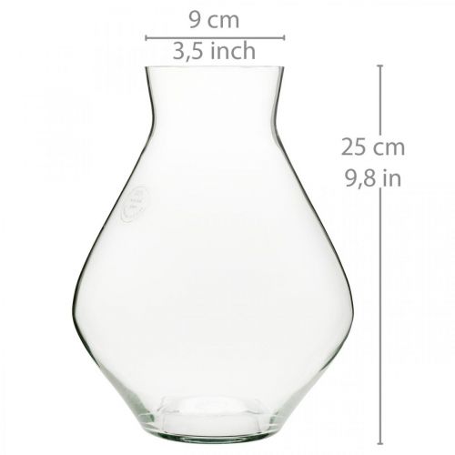 daiktų Gėlių vaza stiklinė svogūninė stiklinė vaza skaidri dekoratyvinė vaza Ø20cm H25cm