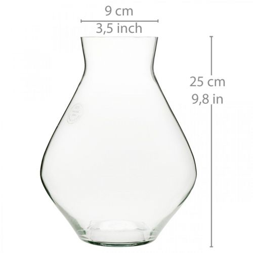 Floristik24 Gėlių vaza stiklinė svogūninė stiklinė vaza skaidri dekoratyvinė vaza Ø20cm H25cm