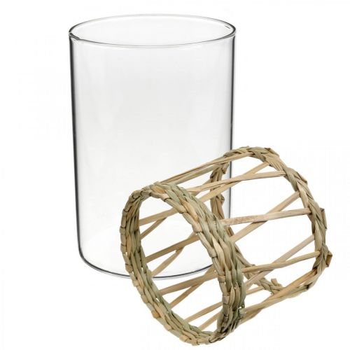 daiktų Stiklinės vazos cilindro pintas žolės stalo dekoravimo stiklas Ø8cm H12cm