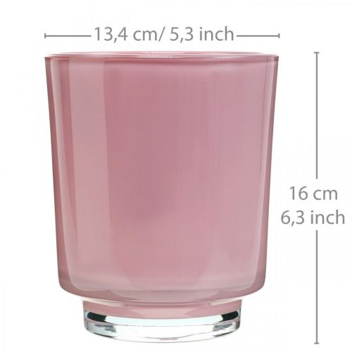 daiktų Orchidėjų sodinuko stiklas rožinis H16cm Ø13,4cm