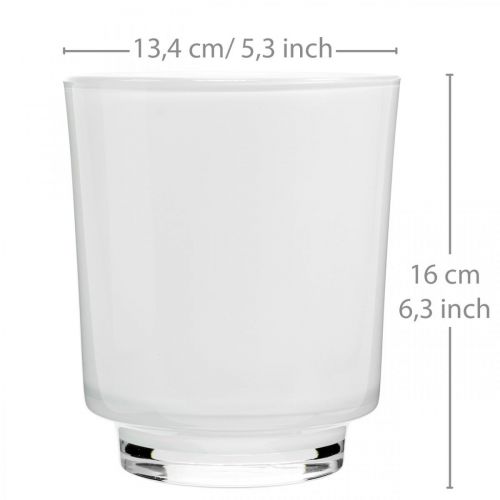 Floristik24 Orchidėjų sodinukas baltas stiklas H16cm Ø13,4cm