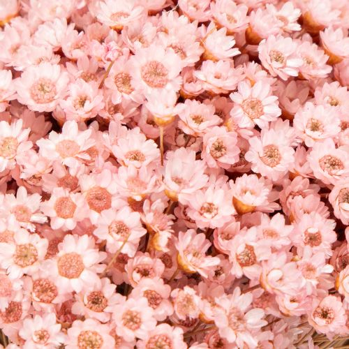 daiktų Dekoratyvinė gėlių puokštė, idealiai tinkanti pavasariui, Velykoms ir šventėms, 44 cm